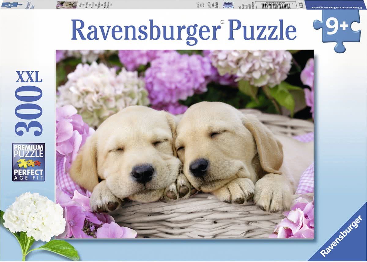   puzzel Schattige hondje in mand - legpuzzel - 300 stukjes