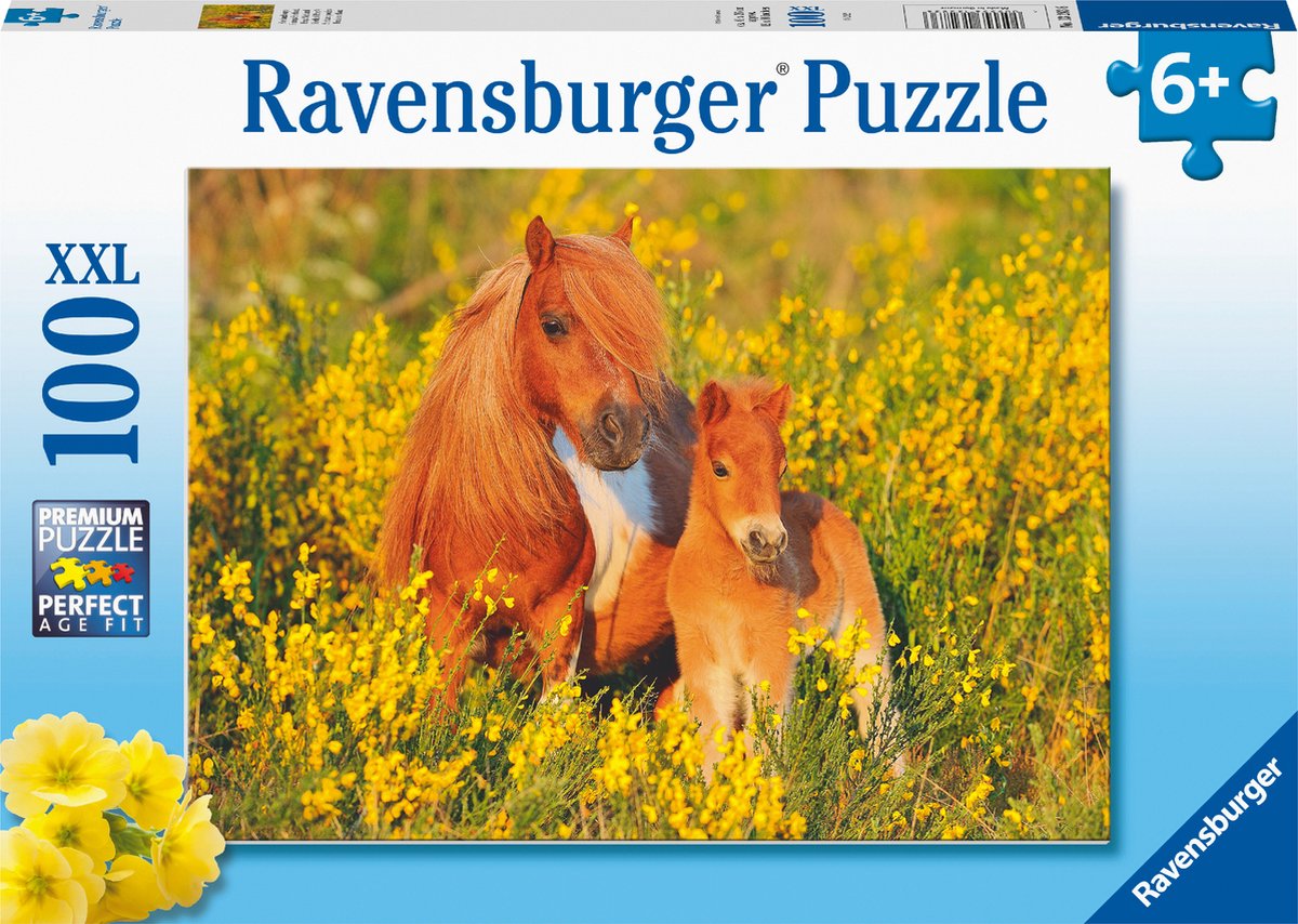   puzzel Shetland Ponys - Legpuzzel - 100XXL stukjes