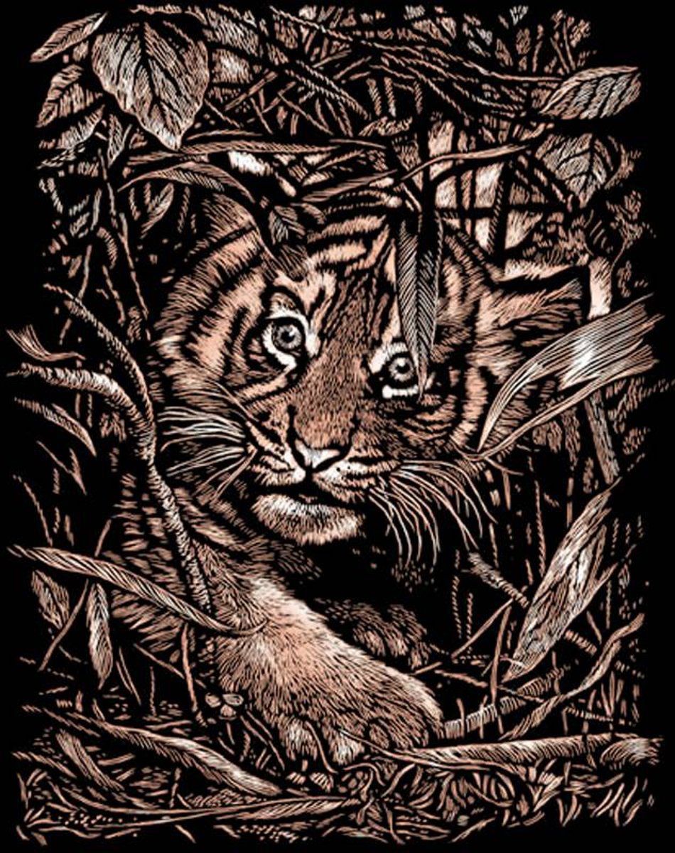 Scraperfoil PPCF23 hiding tiger