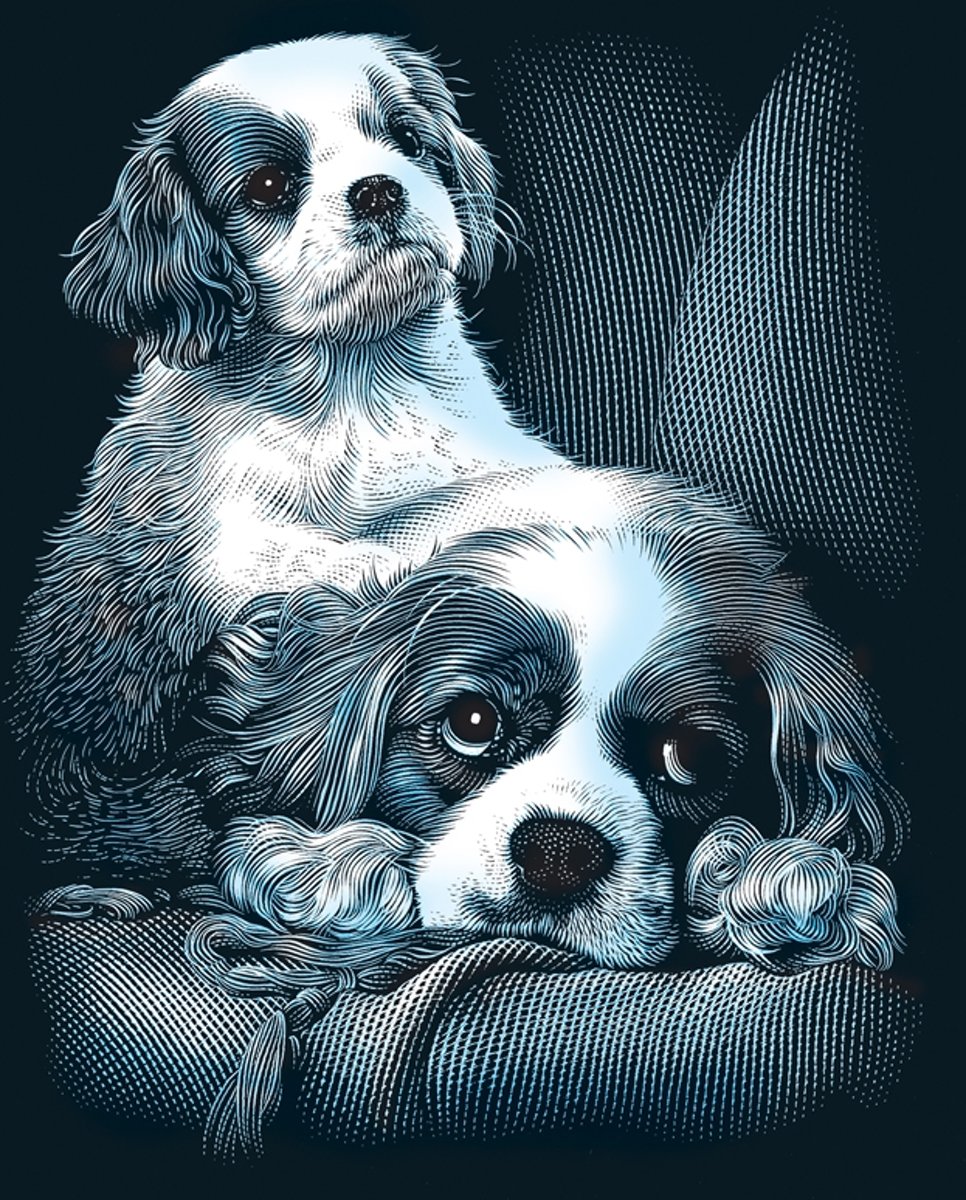 Scraperfoil silver -  Spaniels