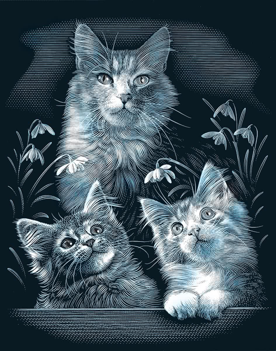 Scraperfoil silver - cute kittens