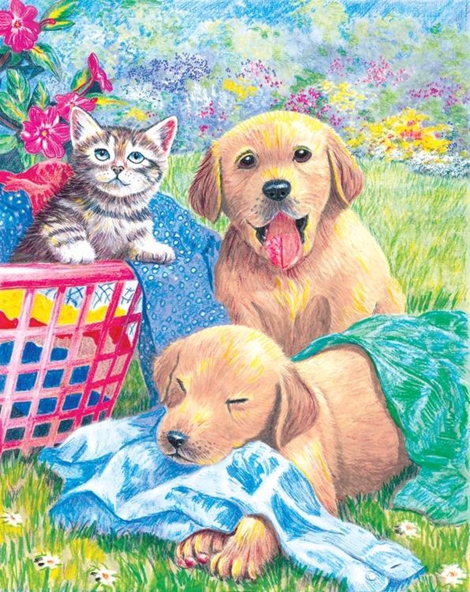 Kleuren op nummer  - Kleuren op nummer voor volwassenen - Kitten en puppys bij de wasmand 22.23x29.85cm