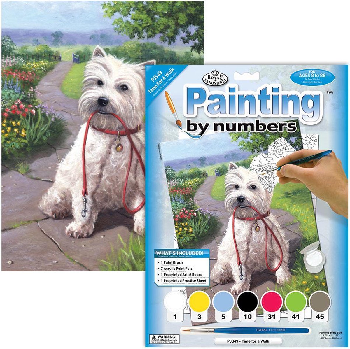 Schilderen op nummer - Paint by numbers - Dieren - Hond wil gaan wandelen 22x30cm - Schilderen op nummer volwassenen - Paint by numbers volwassenen