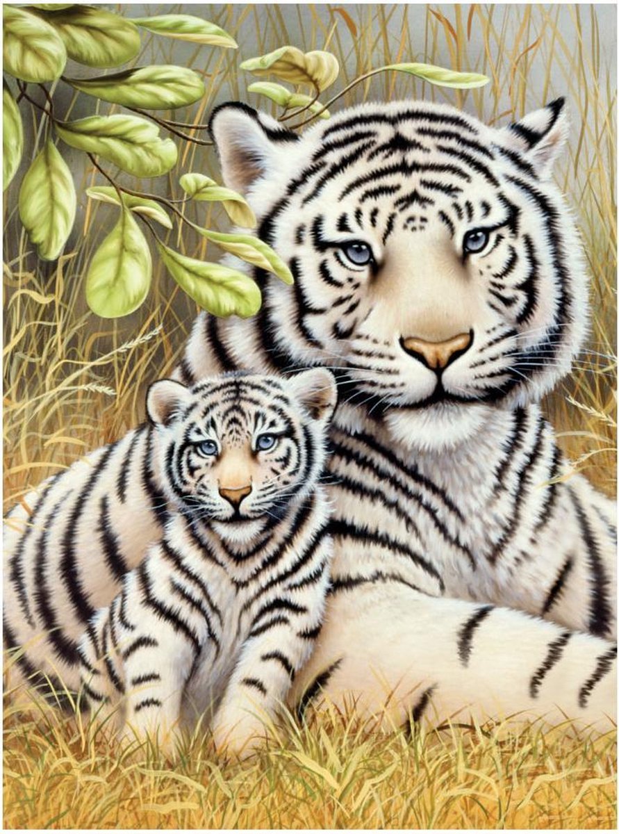 Schilderen op nummer - Paint by numbers - Dieren - Witte tijger met welpje 22x30cm - Schilderen op nummer volwassenen - Paint by numbers volwassenen