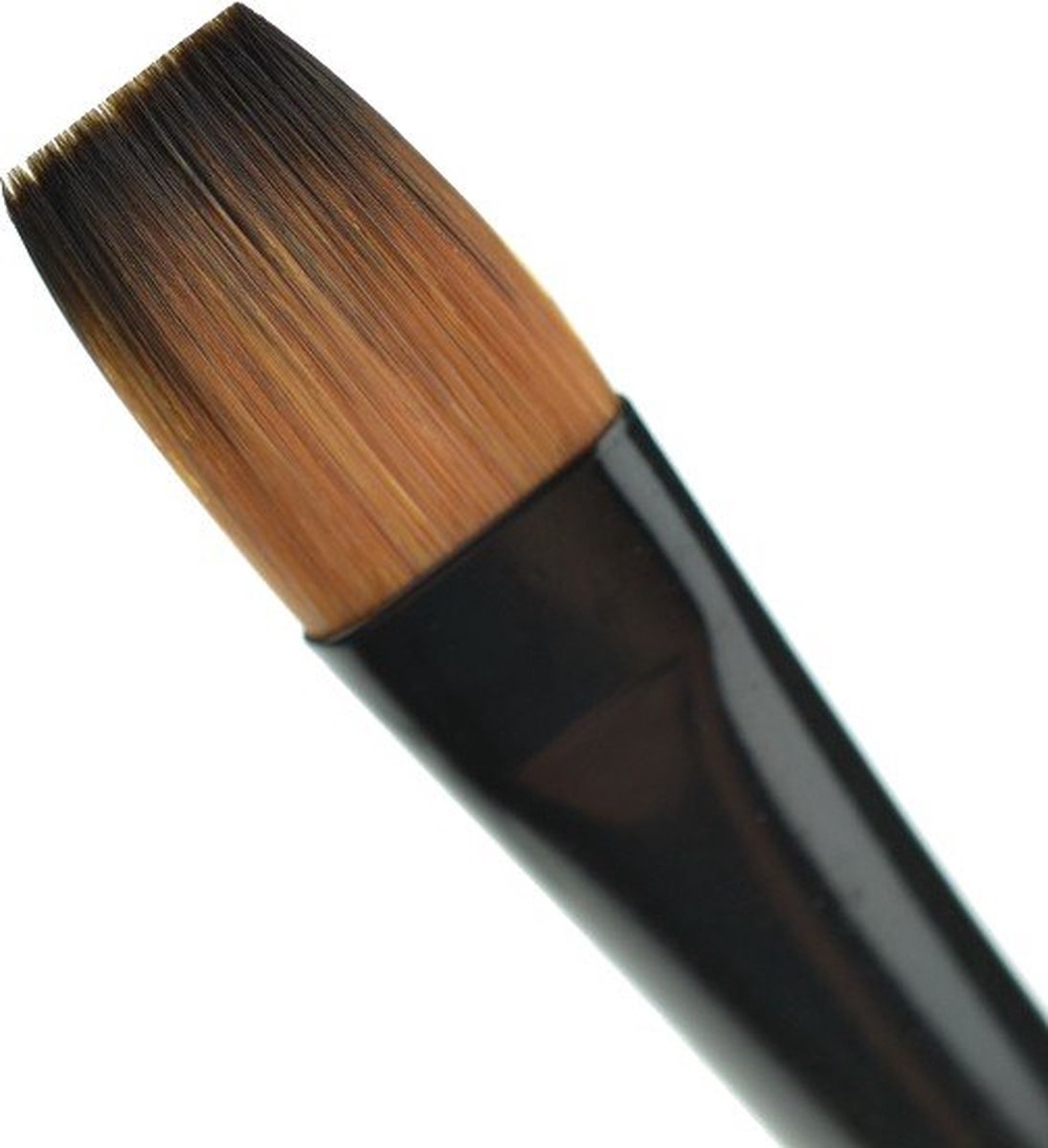 Royal Majestic   4150 Maat 10