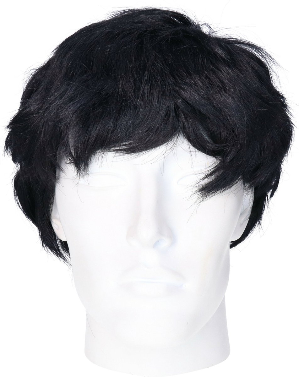   Verkleedpruik voor heren - zwart - Seventies/popster/sixties/surfboy - Carnaval - kort haar