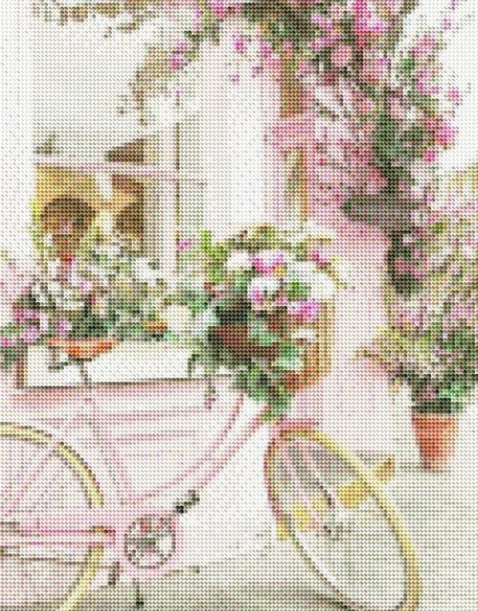 Rubye® Diamond Painting Volwassenen - Diamond Painting Kinderen - Bloemen Fiets - 30x40cm