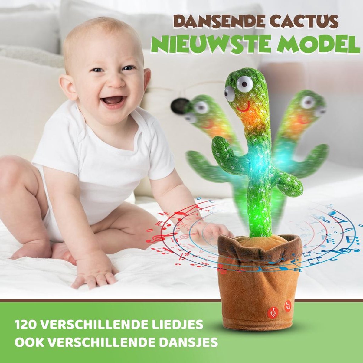 Ruvon Dansende Cactus