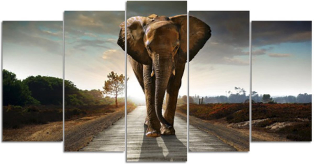 Diamond Painting - Safari Olifant - 5 Luik - Full - SEOS Shop ®