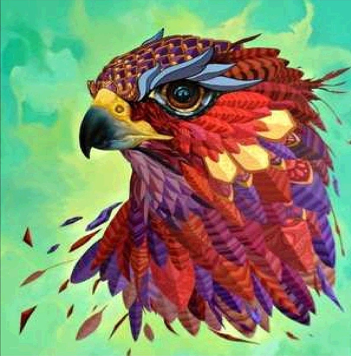 Diamond Painting Pakket volwassenen - Gekleurde Roofvogel - FULL + Opbergdoos + Roller - Compleet pakket - Niet opgerold - Diamond Paintings - 40x40 cm - SEOS Shop ®