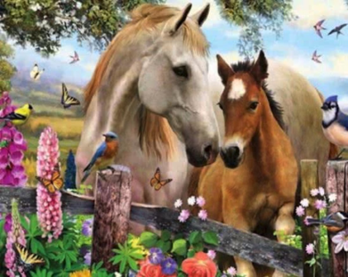 Diamond Painting Prachtige Paarden 20x25 - FULL - Volledig - Vierkanten steentjes - SEOS Shop ®