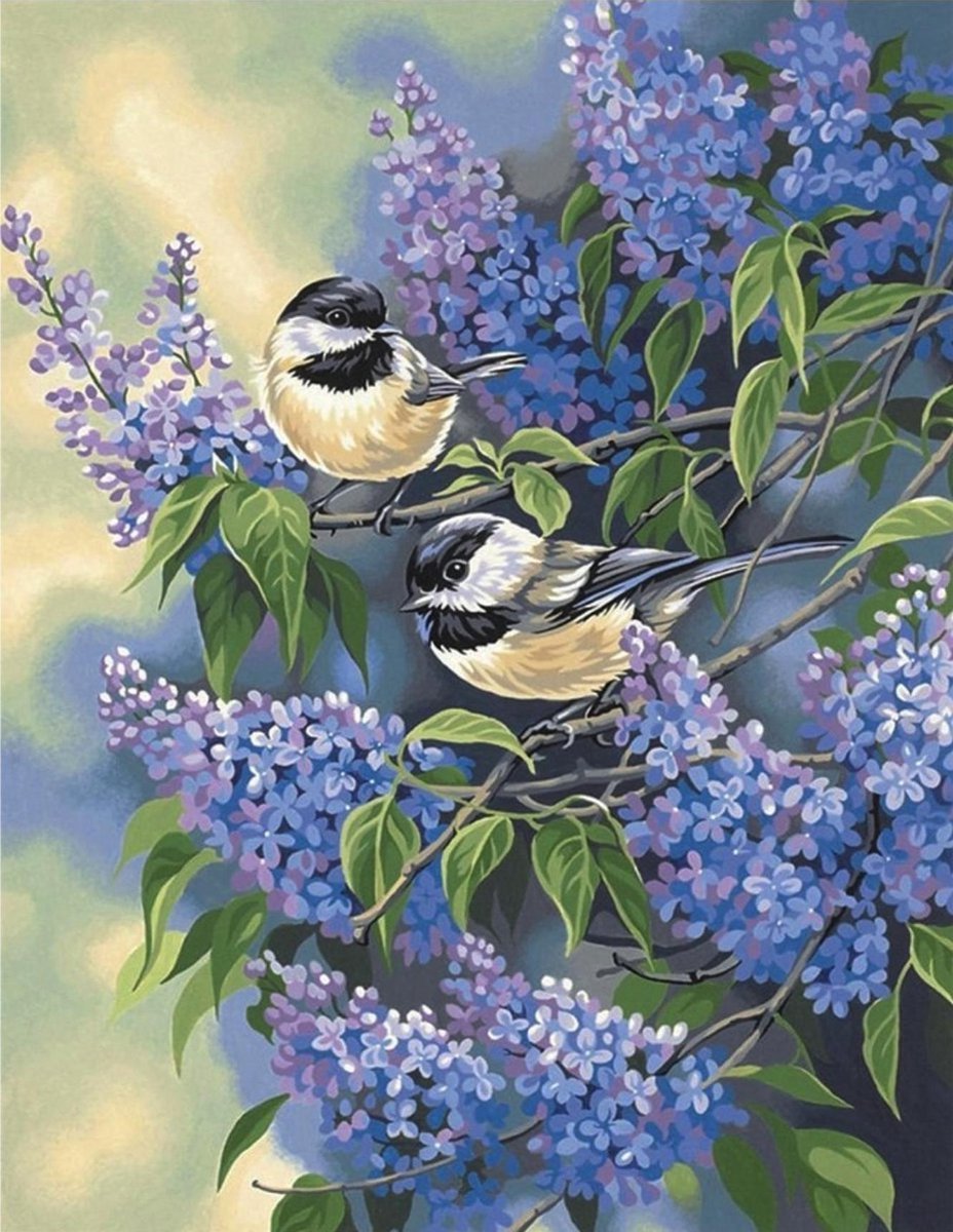 SEOS Shop ® Diamond Painting Pakket Vogels in een boom - Volledig - Diamond Paintings - 40x40 cm