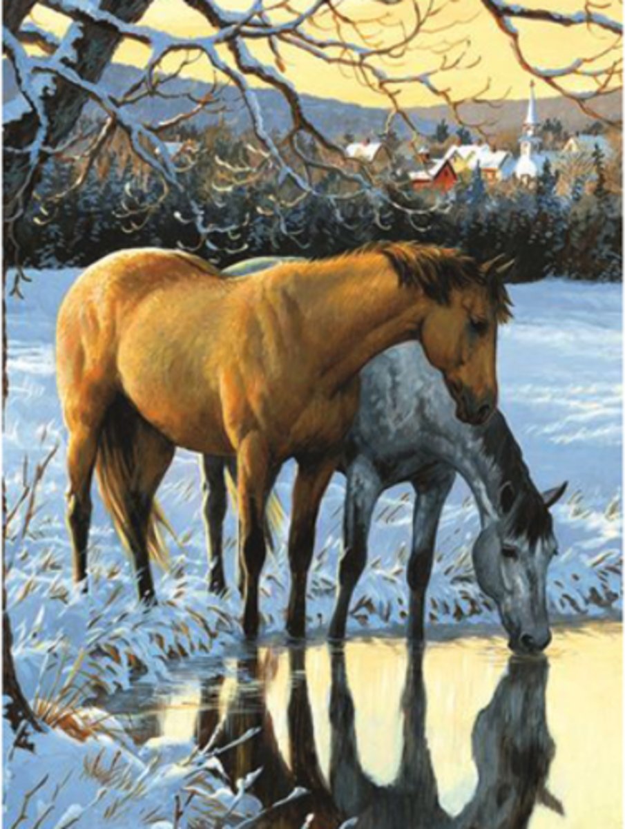 Diamond Painting - Paarden drinken water - Volledig - Full - 25x30 cm