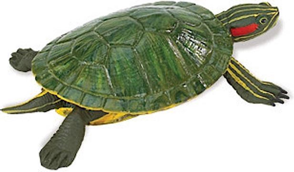 Safari Speeldier Roodwangschildpad Junior 13,5 Cm Groen