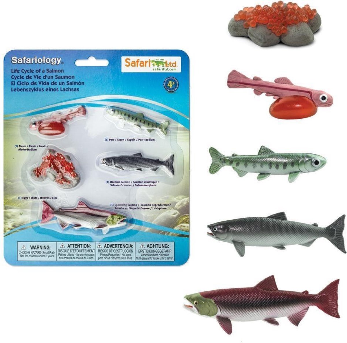 Safari Speelfiguren Levenscyclus Van Een Zalm Junior 5-delig