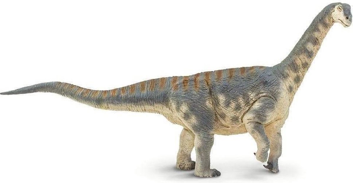 Safari Speelfiguur Camarasaurus Junior 35 X 7 X 16 Cm Grijs