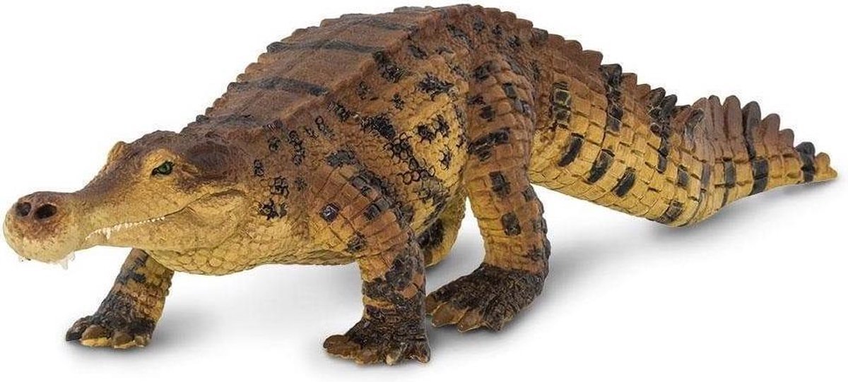 Safari Speelfiguur Sarcosuchus Junior 26 X 6,5 X 5,5 Cm Bruin