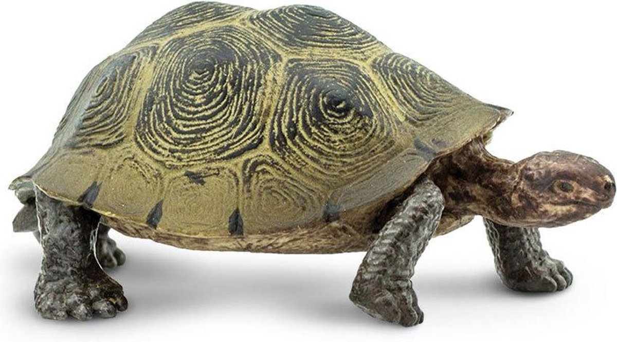 Safari Woestijnschildpad Junior 15 Cm Rubber Groen/bruin