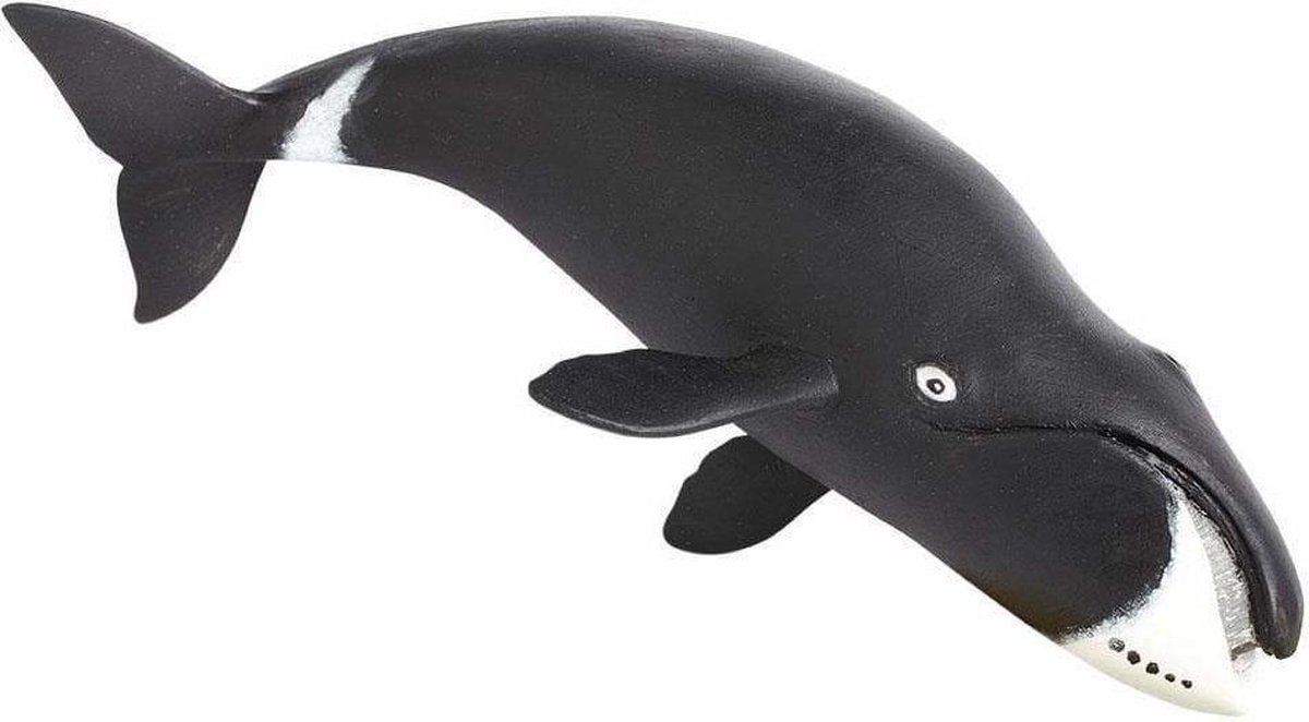 Safari Zeedieren Groenlandse Walvis Junior 21 Cm Zwart/wit