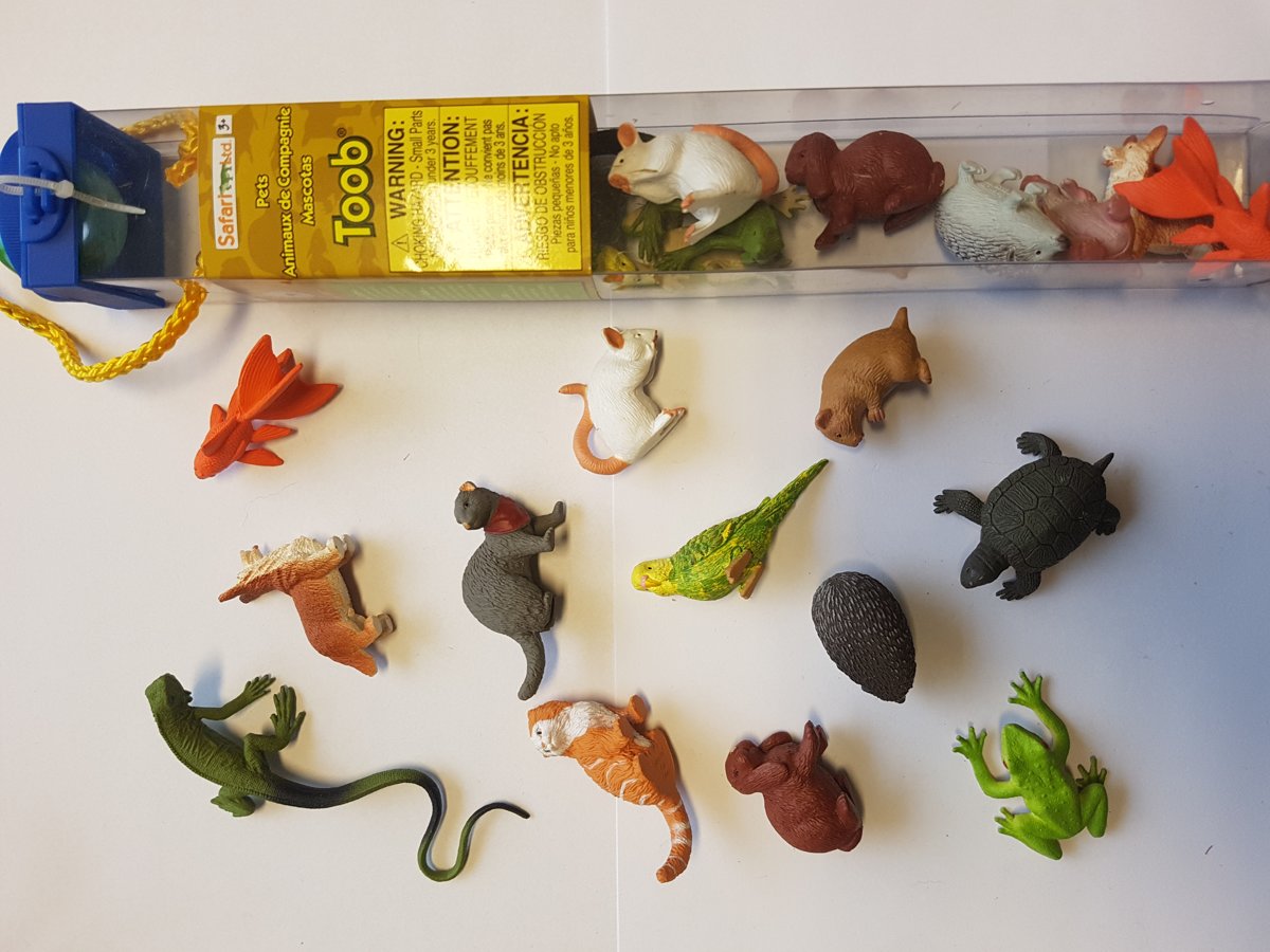 Tube met mini figuren huisdieren