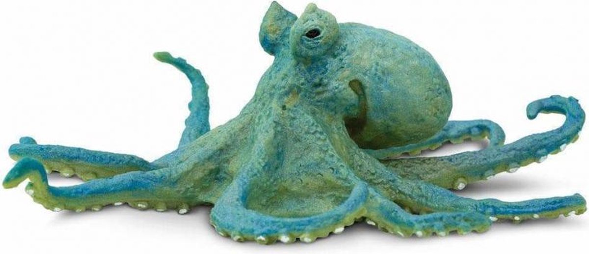 zeedieren Octopus junior 12,75 cm groen