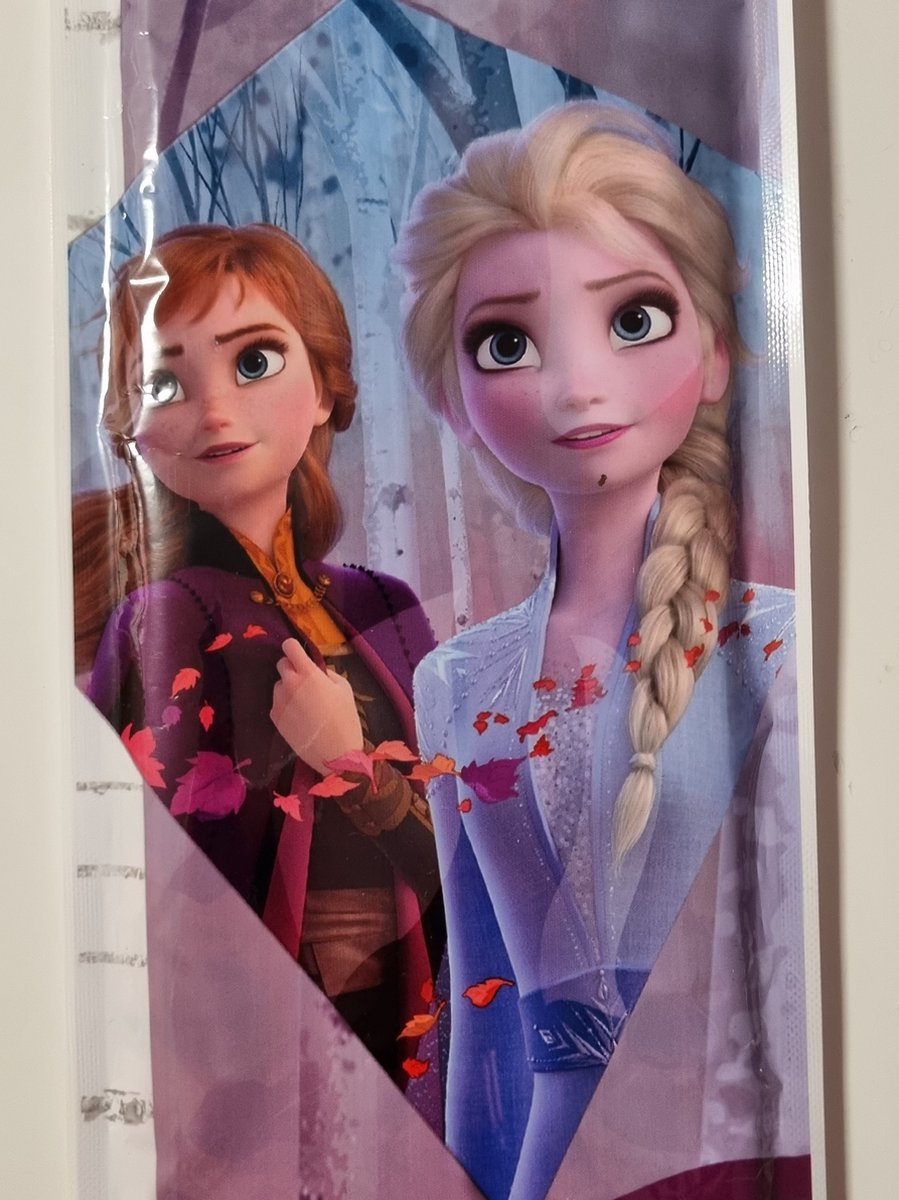 Vlieger Frozen