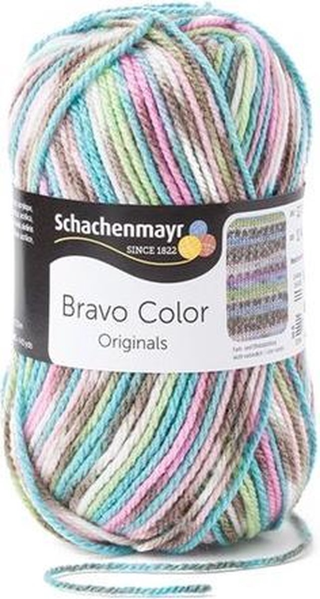 Schachenmayr Bravo Color 50 Gram - 2083