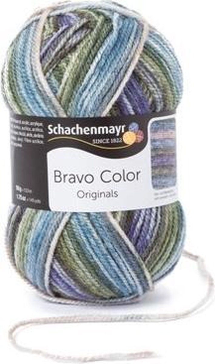 Schachenmayr Bravo Color 50 Gram - 2122