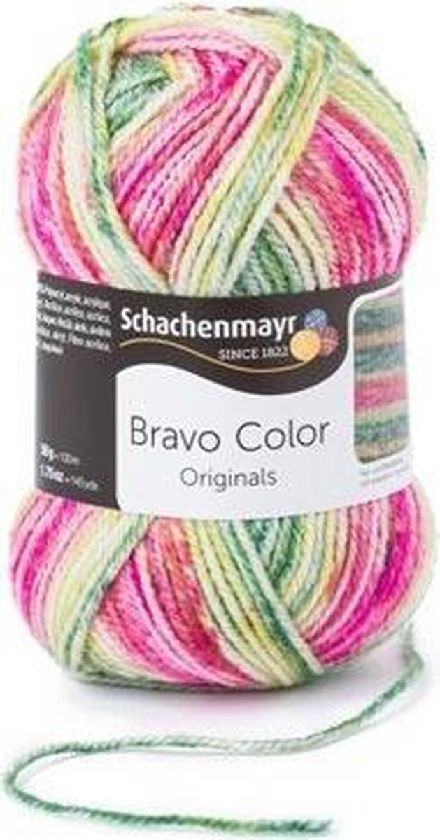 Schachenmayr Bravo Color 50 Gram - 2123