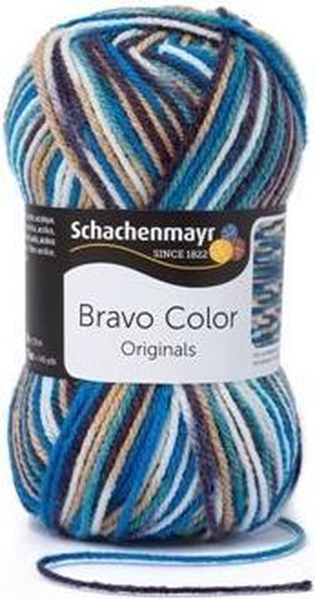 Schachenmayr Bravo Color 50 Gram - 2128