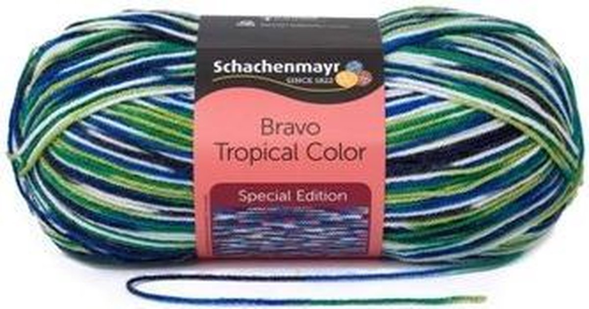 Schachenmayr Bravo Color 50 Gram - 2130