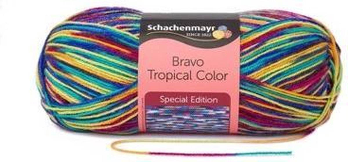 Schachenmayr Bravo Color 50 Gram - 2131