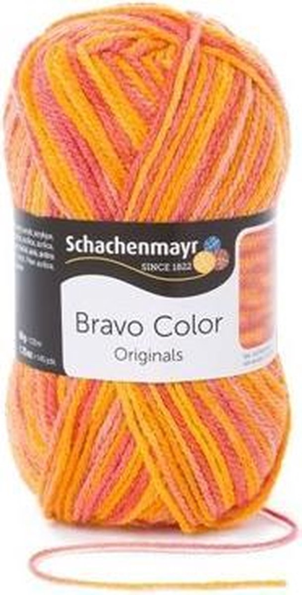 Schachenmayr Bravo Color 50 Gram - 2132