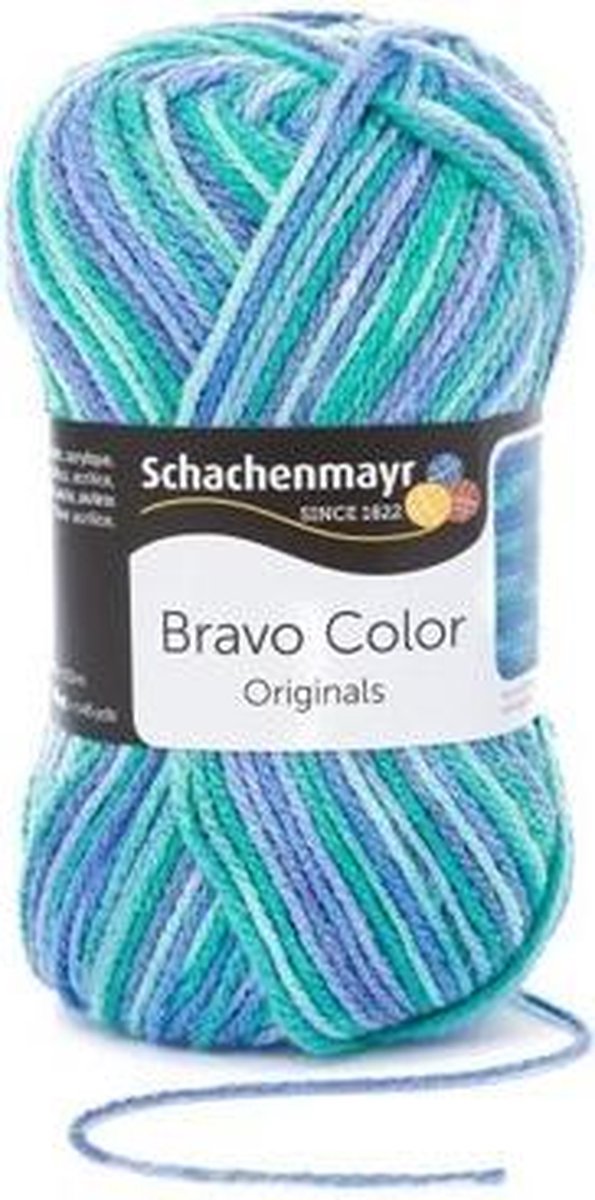 Schachenmayr Bravo Color 50 Gram - 2134