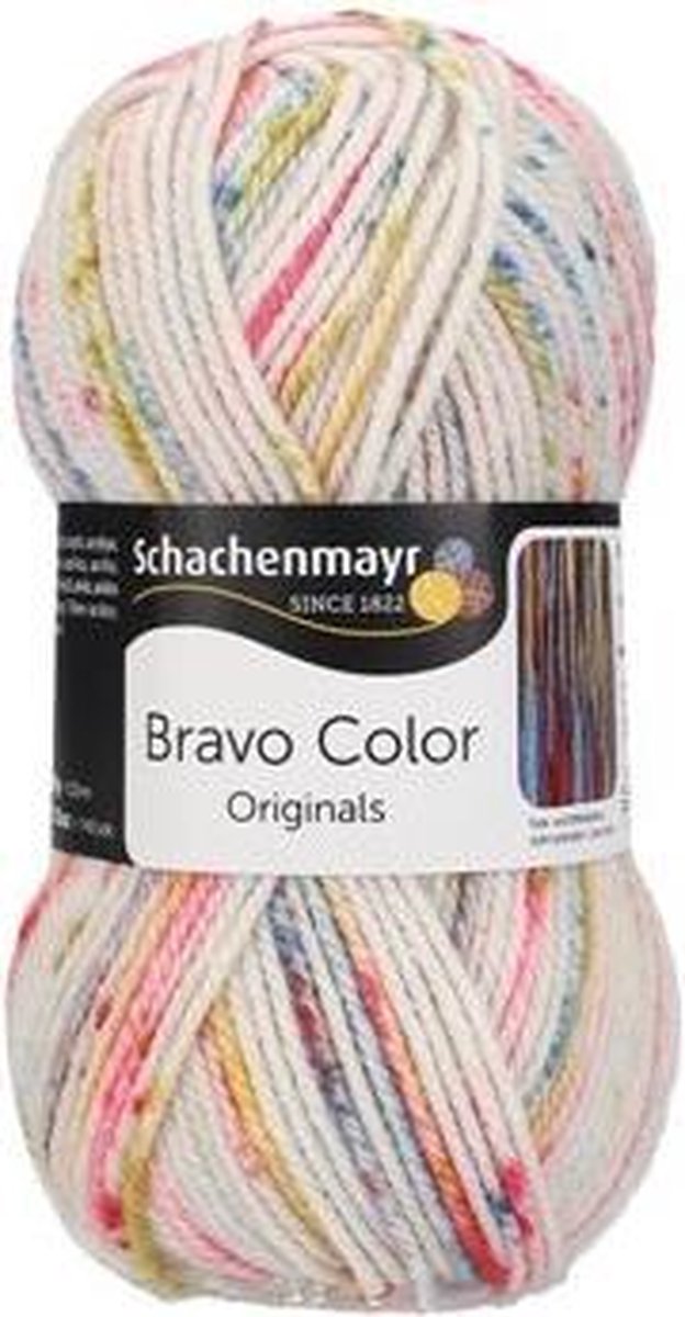 Schachenmayr Bravo Color 50 Gram - 2136