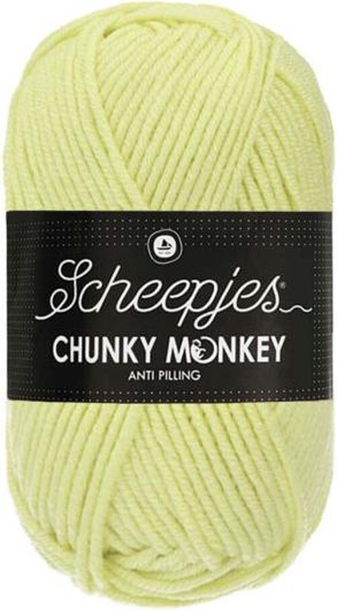 Scheepjes Chunkey Monkey- 1020 Mint 5x100gr