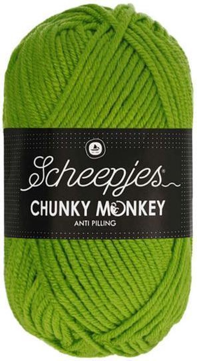 Scheepjes Chunky Monkey- 2016 Fern 5x100gr