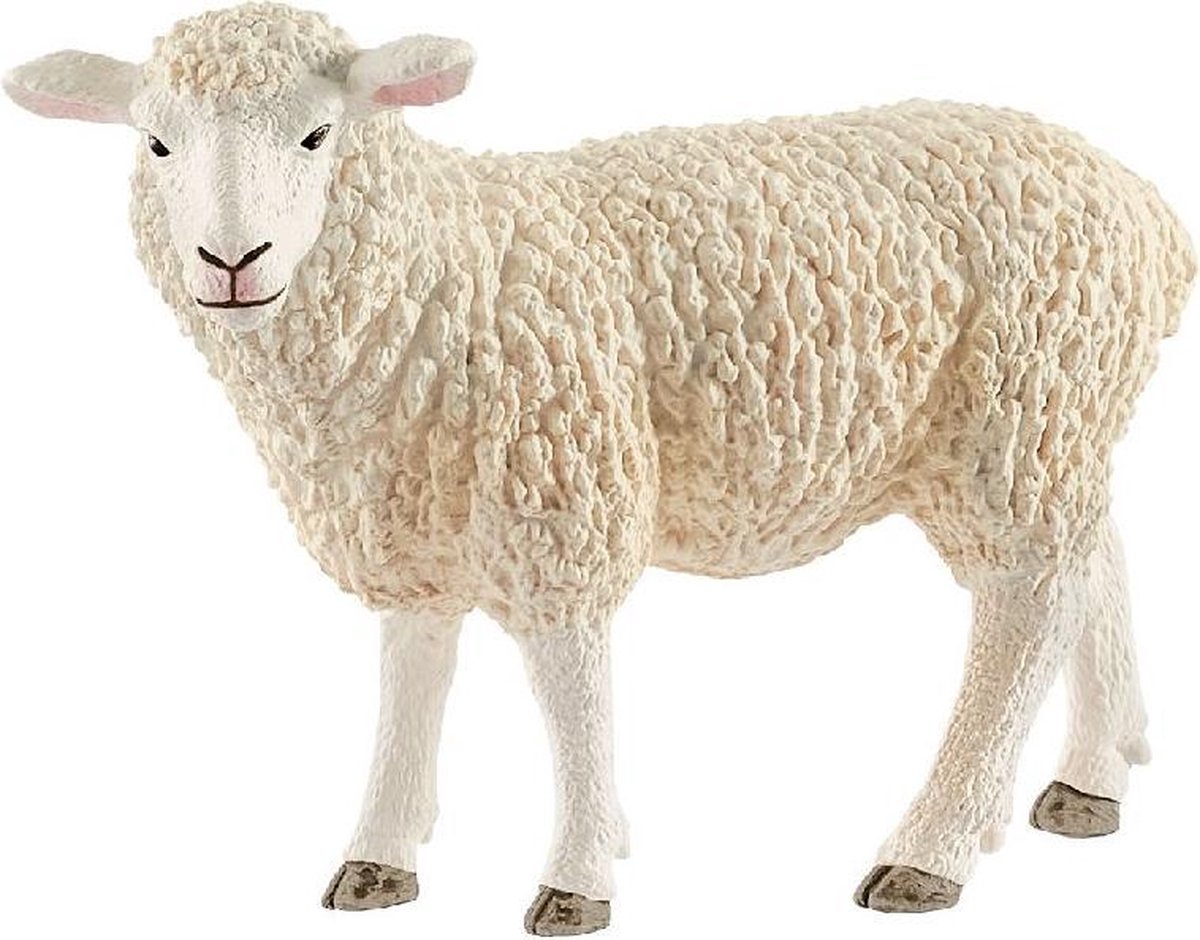 Schleich 13882 Schaap