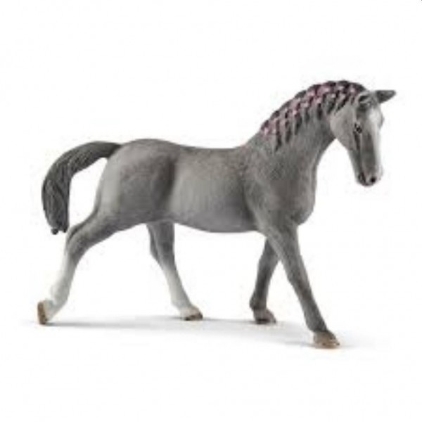   13888 Trakehner Merrie