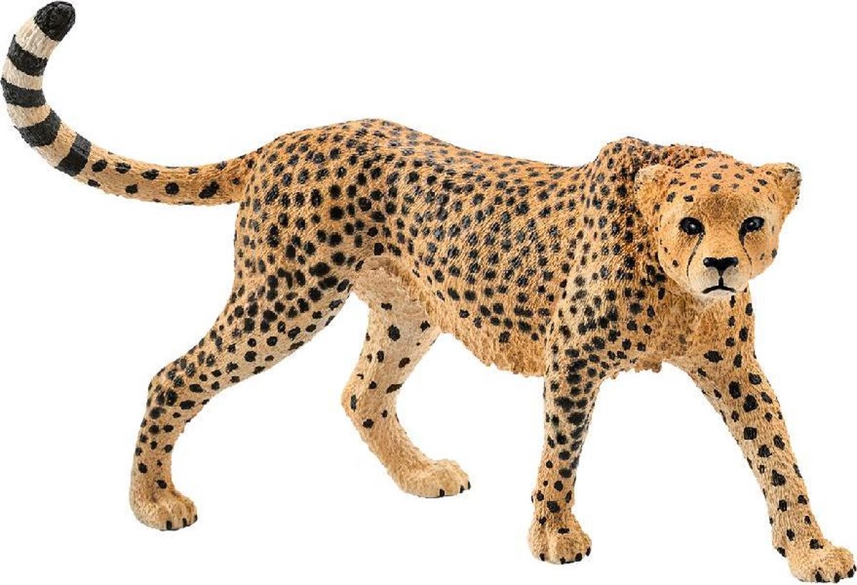 Schleich 14746 Jachtluipaard Vrouwtje