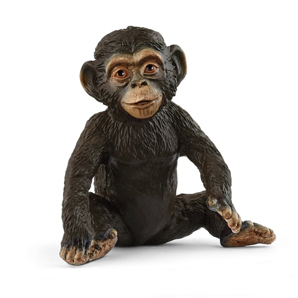   14884 Chimpanzee Cub