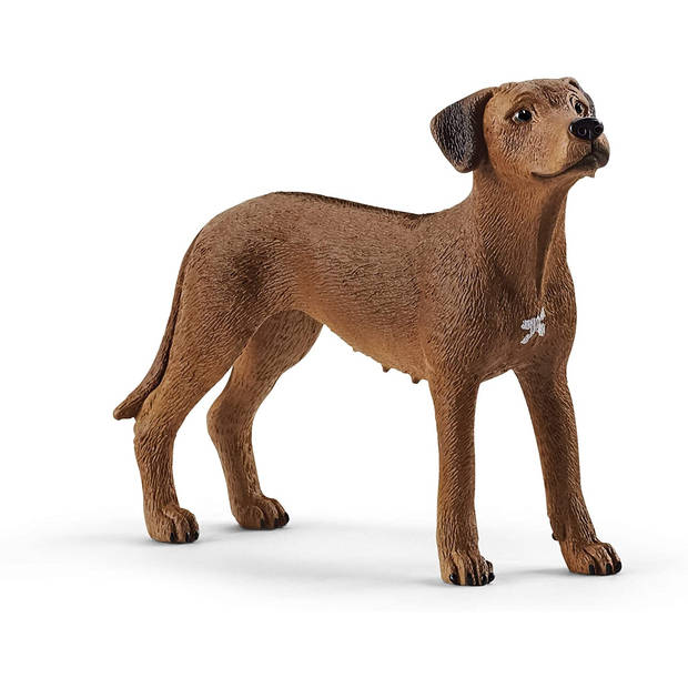 Schleich Boerderij - Rhodesian Ridgeback 13895