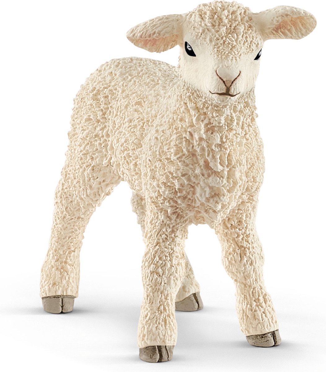 Schleich Farm World - Lam - Speelfiguur - Kinderspeelgoed voor Jongens en Meisjes - 3 tot 8 jaar - 13883