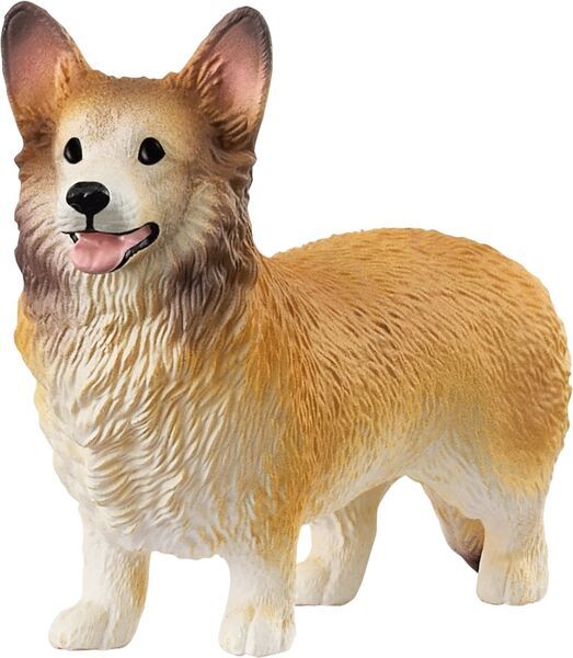   Welsh Corgi 13999