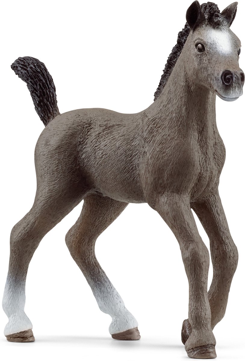 schleich HORSE CLUB Frans zadel veulen 13957