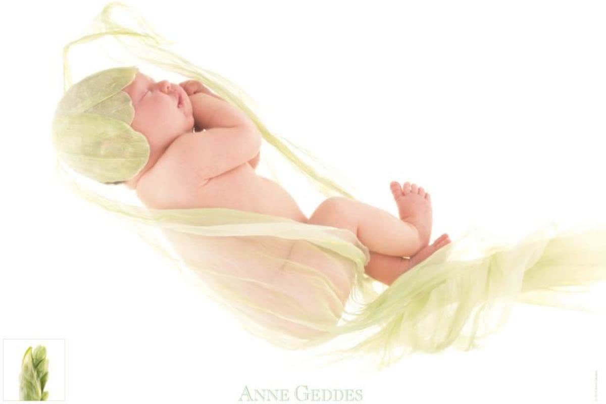 Anne Geddes - Narcis - Legpuzzel - 1000 Stukjes