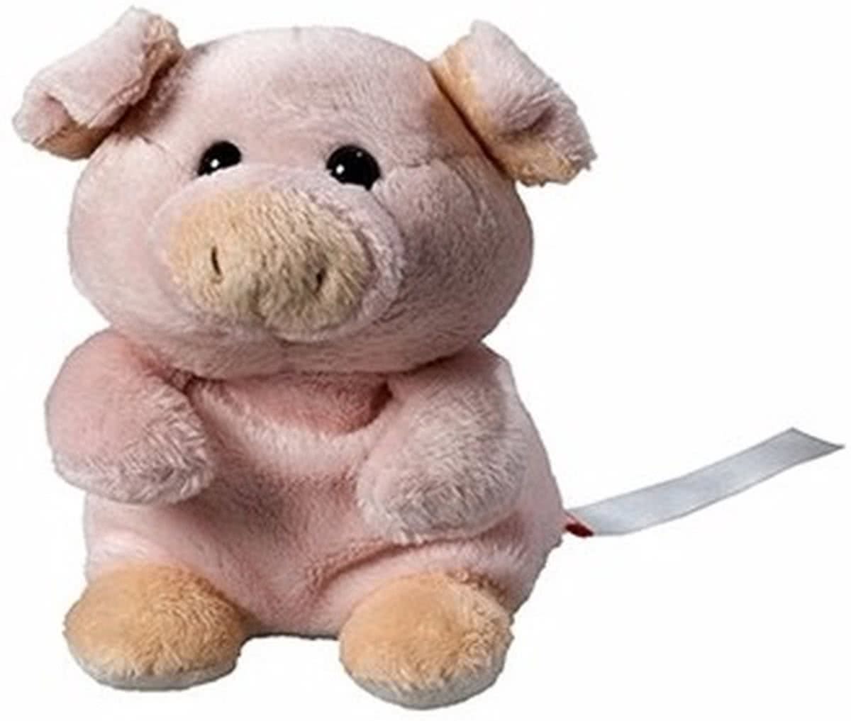 Pluche varken/big knuffel 11 cm met beschrijfbaar label