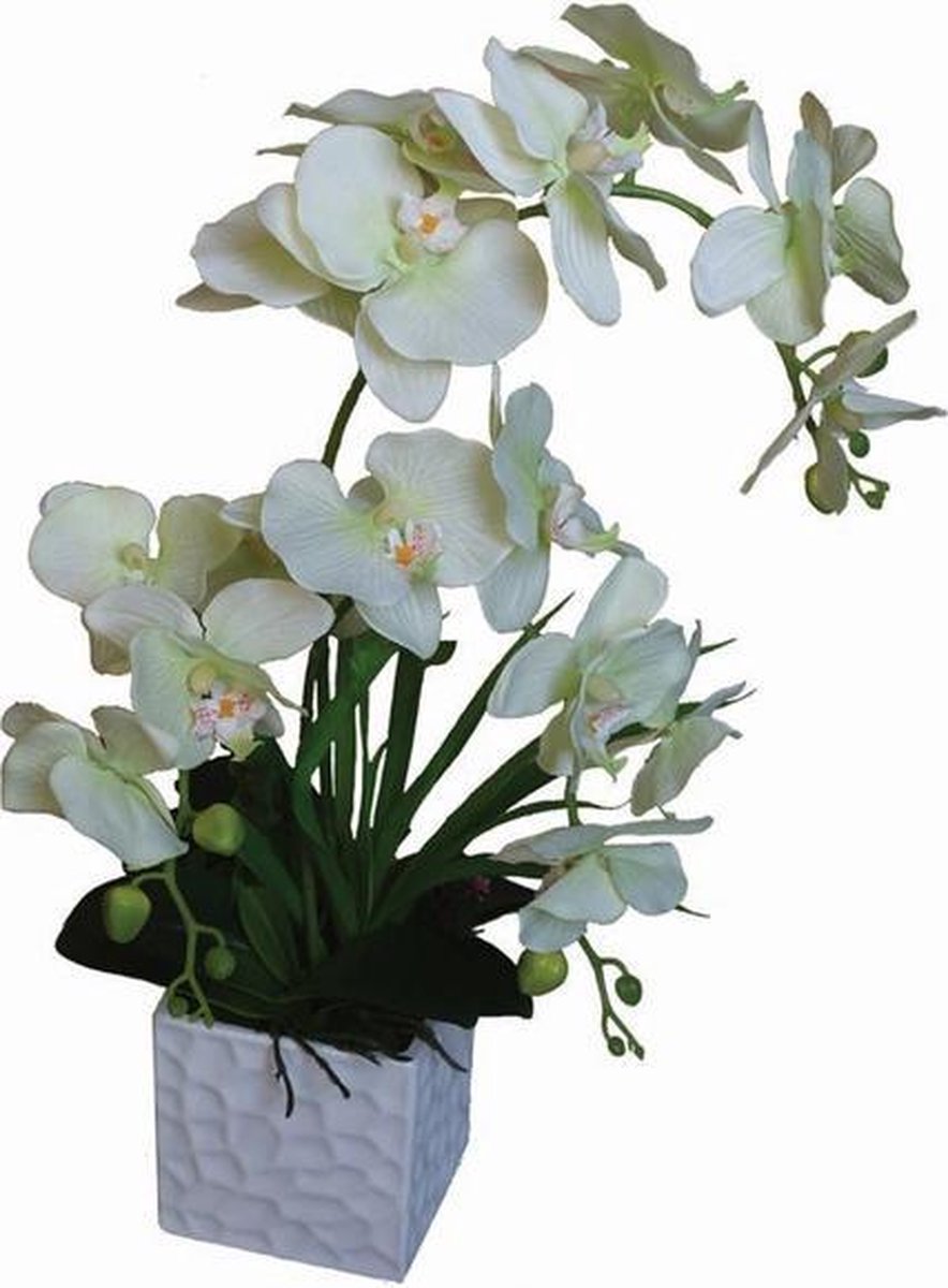 Seco SE-LYLB127 Kunstplant Orchidee 36cm In Pot