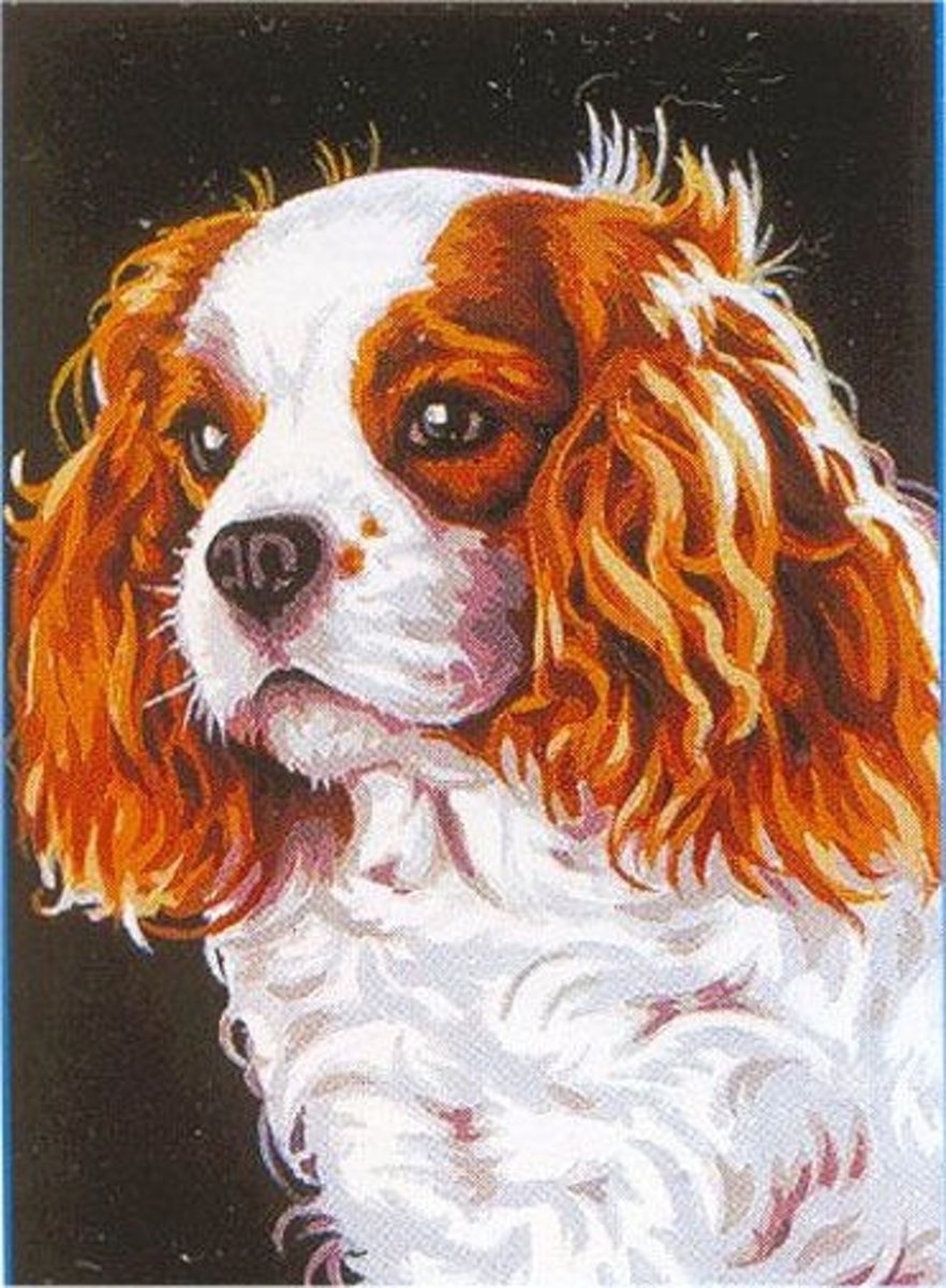 Voorbedrukt stramien/canvas le cavalier king charles van Margot