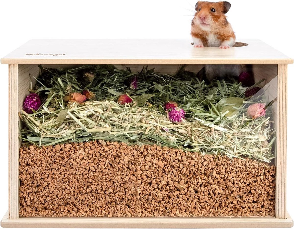 Transparante Hamster Habitat - Ruim en Compleet met Accessoires - Ideaal voor Roborovski en Andere Hamsters - Transparante Kooi - Hamsterverblijf